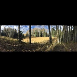 Meet your Posher, Ben